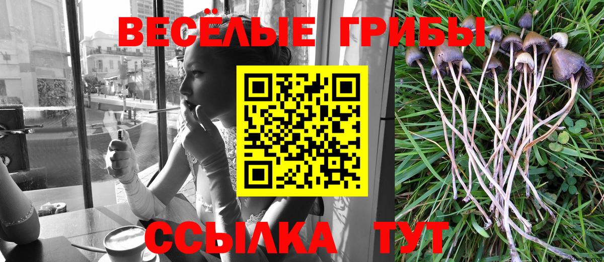 Галлюциногенные грибы MAGIC MUSHROOMS Дедовск